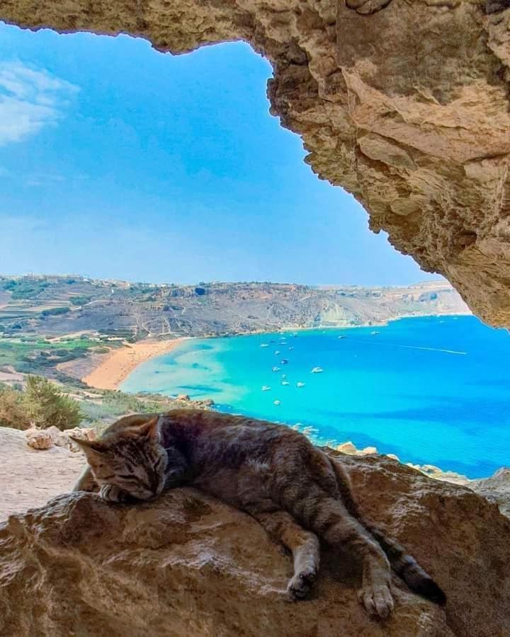 Farmhouse Tal Kaptan Kerċem 外观 照片